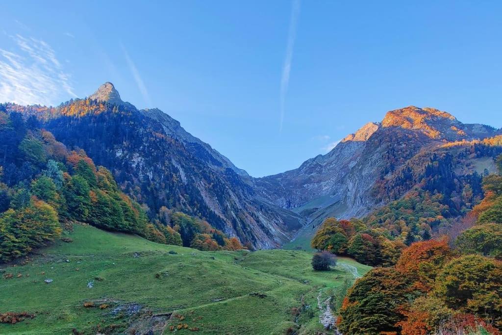 Logement 6 Pers Au Coeur Des Montagnes Pyreneennes Linge De Maison Et Papier Toilette Non Fournis Boutx Exteriér fotografie