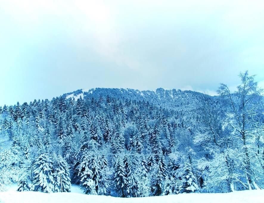Logement 6 Pers Au Coeur Des Montagnes Pyreneennes Linge De Maison Et Papier Toilette Non Fournis Boutx Exteriér fotografie