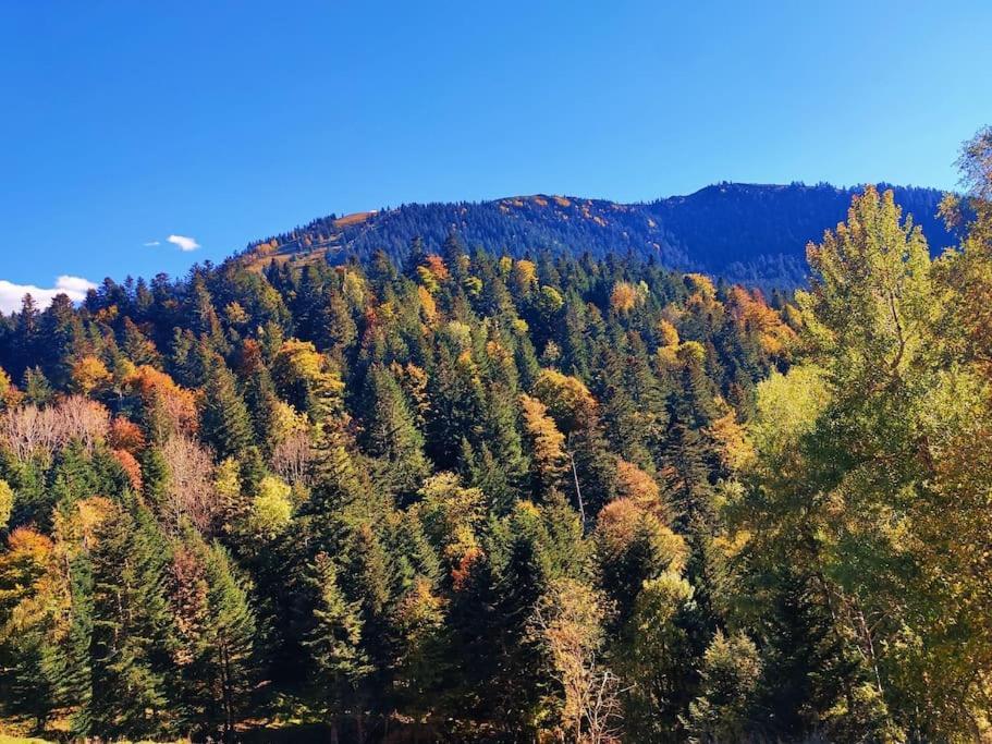 Logement 6 Pers Au Coeur Des Montagnes Pyreneennes Linge De Maison Et Papier Toilette Non Fournis Boutx Exteriér fotografie