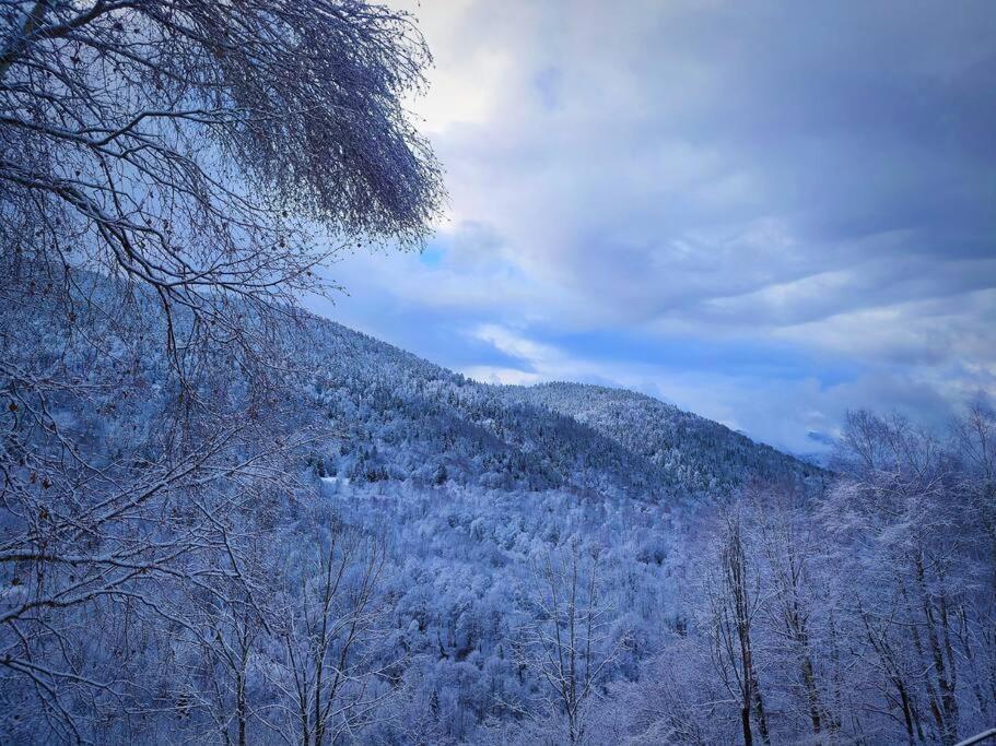 Logement 6 Pers Au Coeur Des Montagnes Pyreneennes Linge De Maison Et Papier Toilette Non Fournis Boutx Exteriér fotografie