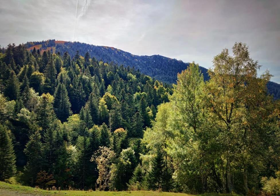 Logement 6 Pers Au Coeur Des Montagnes Pyreneennes Linge De Maison Et Papier Toilette Non Fournis Boutx Exteriér fotografie